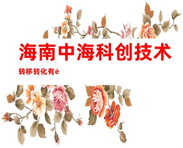 海南中海科创技术转移转化有限公司